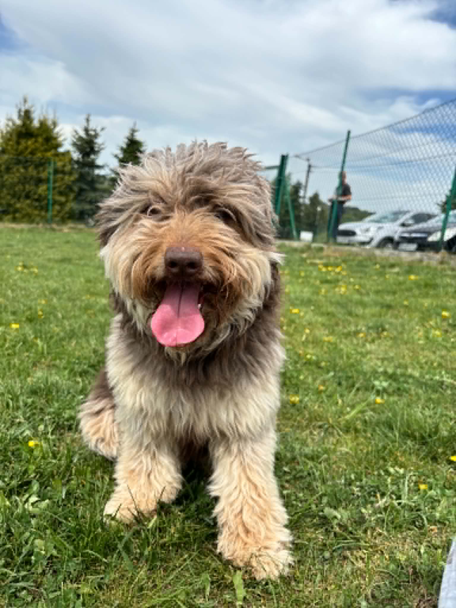 Roki
