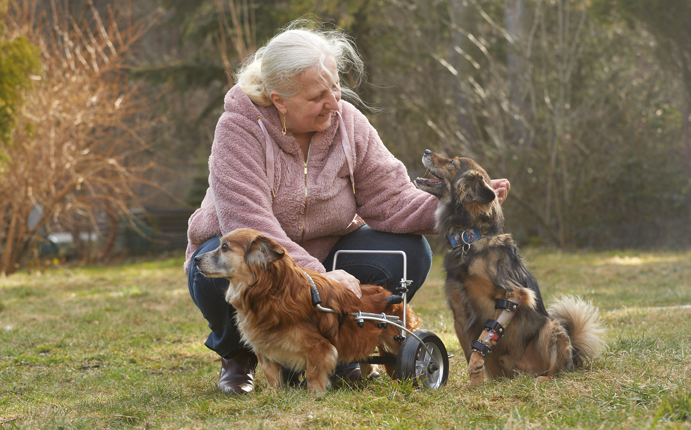 Wolontariusze Psiej Ekipy