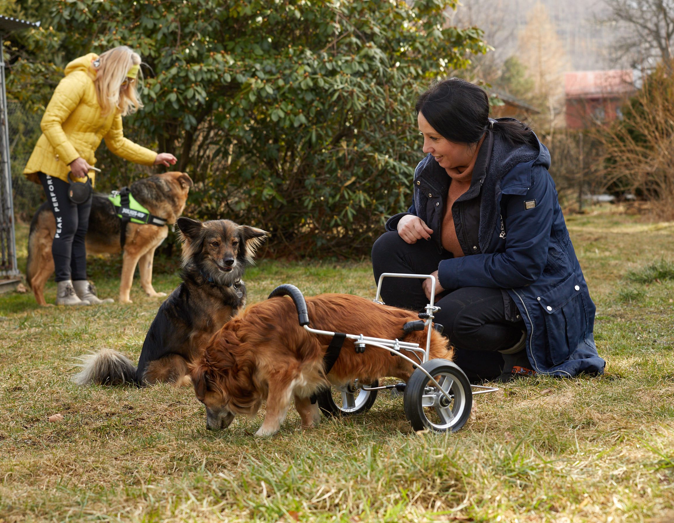 Wolontariusze w akcji